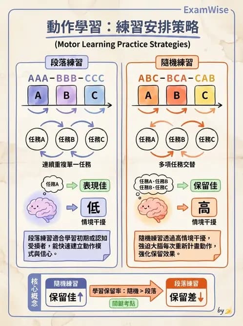 物治 - 動作學習 - AI 圖文解析預覽