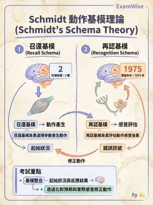 物治 - 動作學習 - AI 圖文解析預覽