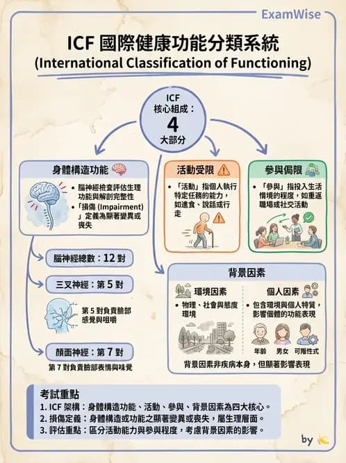 物治 - ICF分類與應用 - AI 圖文解析預覽