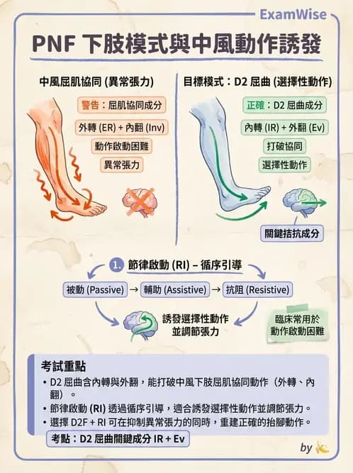 物治 - 腦中風治療手法應用 - AI 圖文解析預覽