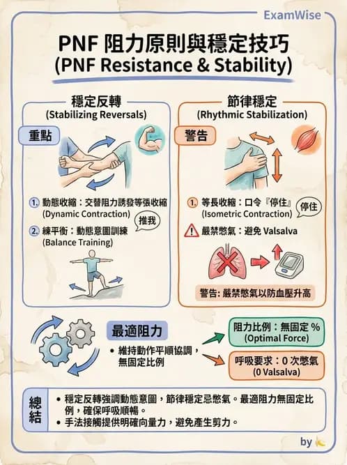 物治 - 神經治療學派技術 - AI 圖文解析預覽