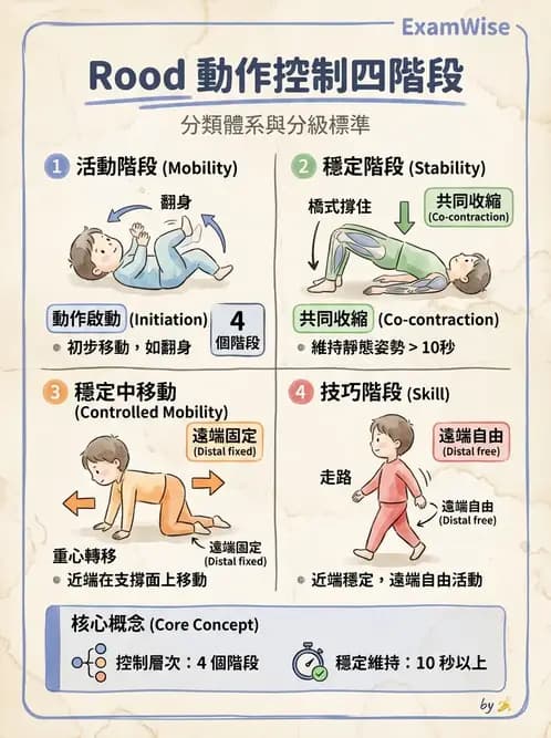 物治 - 腦中風治療手法應用 - AI 圖文解析預覽