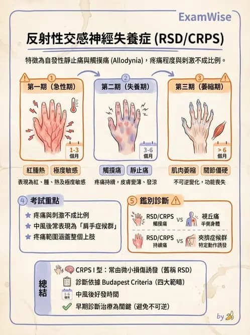 物治 - 腦中風上肢肩部與體適能 - AI 圖文解析預覽