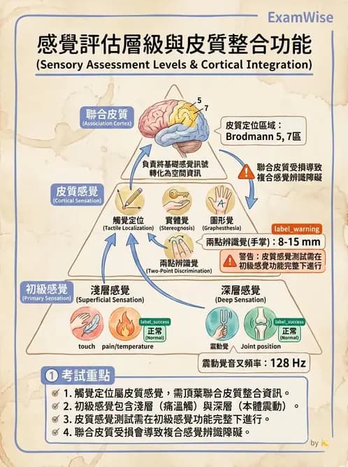物治 - 腦中風感覺知覺與認知 - AI 圖文解析預覽