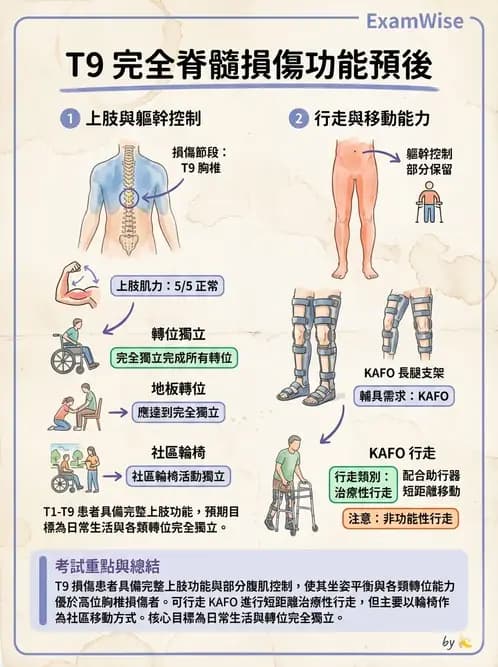 物治 - SCI功能預後與復健訓練 - AI 圖文解析預覽