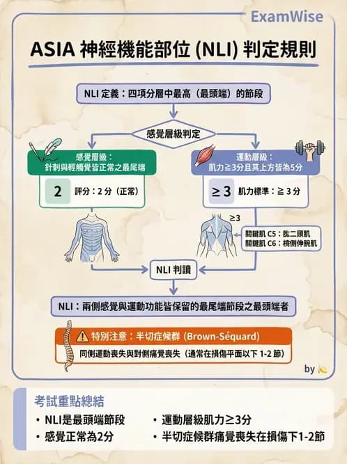 物治 - SCI評估分類與症候群 - AI 圖文解析預覽