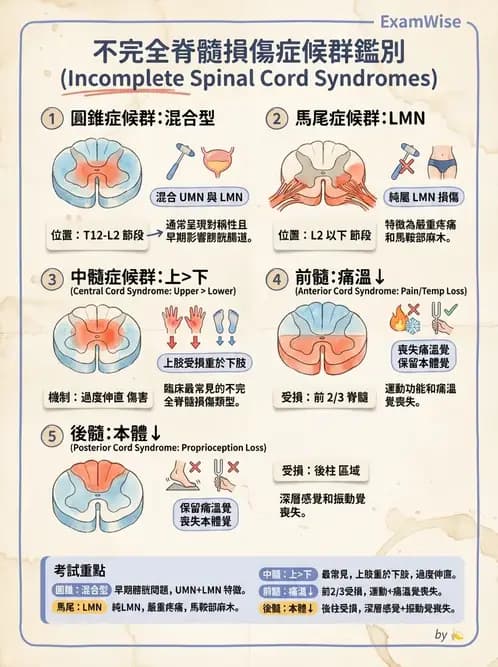 物治 - SCI評估分類與症候群 - AI 圖文解析預覽