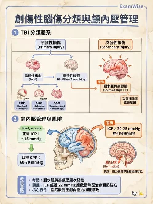 物治 - TBI病理評估與GCS - AI 圖文解析預覽