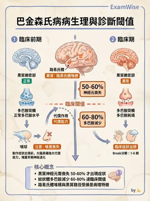 物治 - 巴金森氏病物理治療 - AI 圖文解析預覽