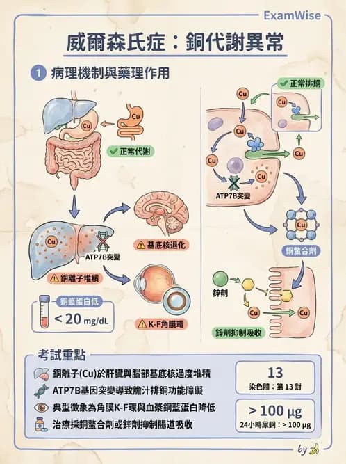 物治 - 運動神經元疾病與其他中樞疾病 - AI 圖文解析預覽
