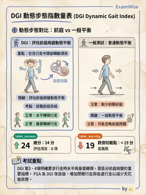 物治 - 前庭系統與前庭復健 - AI 圖文解析預覽