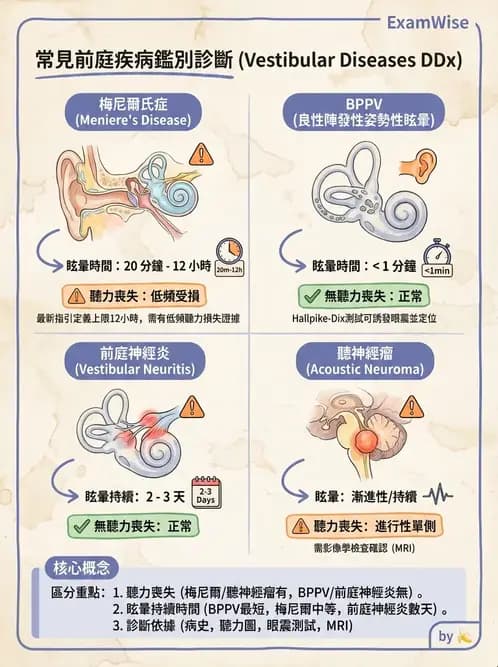 物治 - 前庭系統與前庭復健 - AI 圖文解析預覽