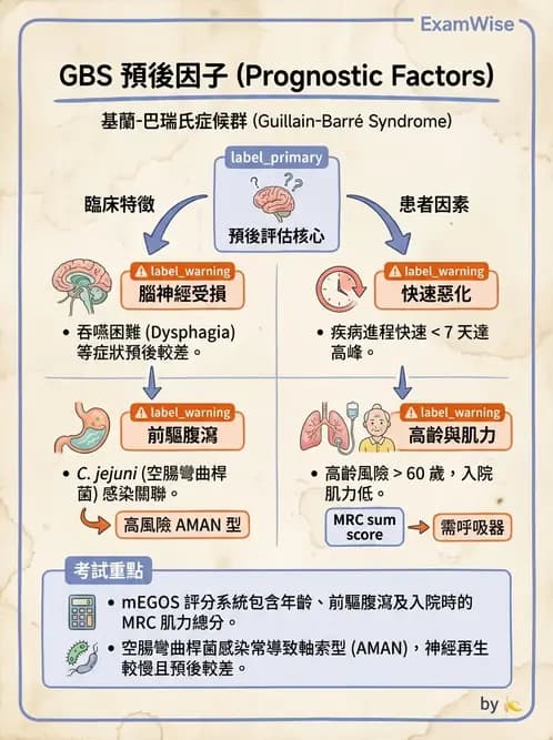 物治 - 神經肌肉疾病 - AI 圖文解析預覽