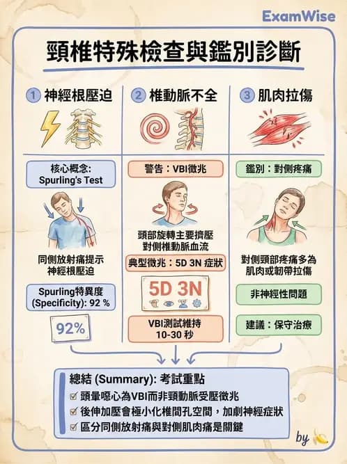 物治 - 頸椎評估與病理 - AI 圖文解析預覽