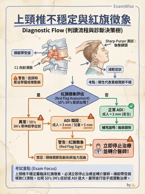 物治 - 頸椎評估與病理 - AI 圖文解析預覽