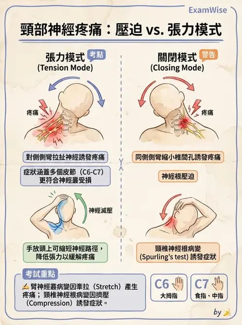 物治 - 頸椎評估與病理 - AI 圖文解析預覽