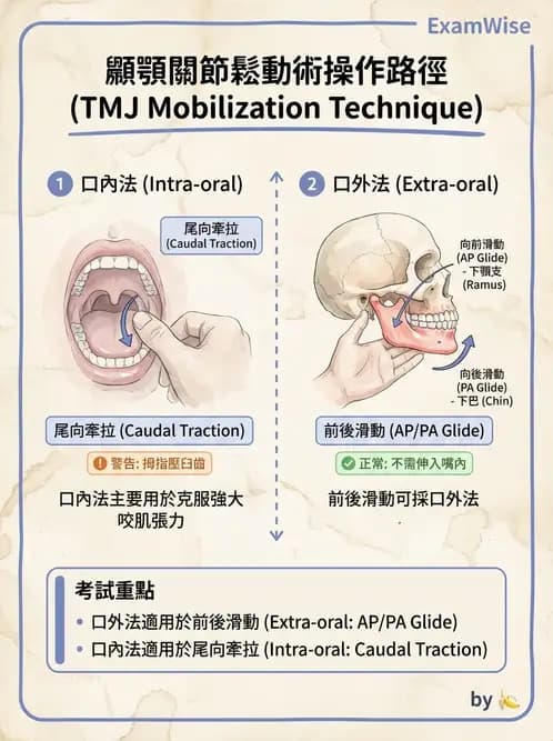 物治 - 顳頷關節 - AI 圖文解析預覽