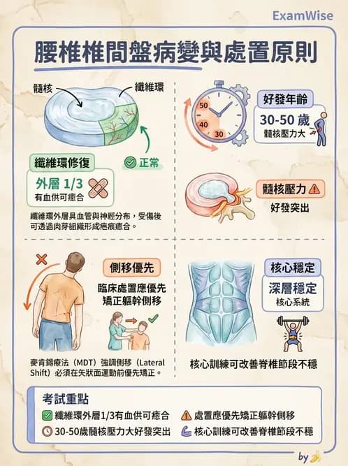 物治 - 腰椎椎間盤與脊椎狹窄 - AI 圖文解析預覽