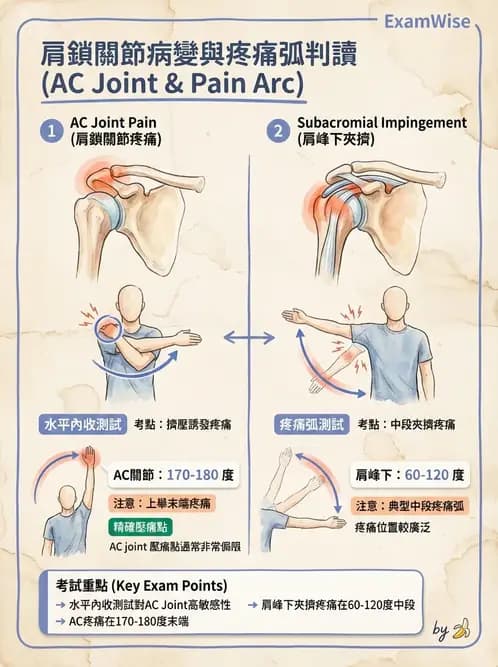物治 - 肩胛生物力學與神經損傷 - AI 圖文解析預覽