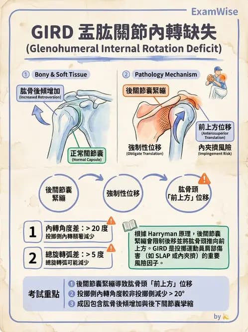 物治 - 冰凍肩與胸廓出口症候群 - AI 圖文解析預覽