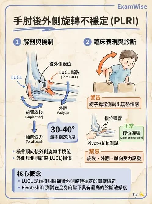 物治 - 肘及前臂關節 - AI 圖文解析預覽
