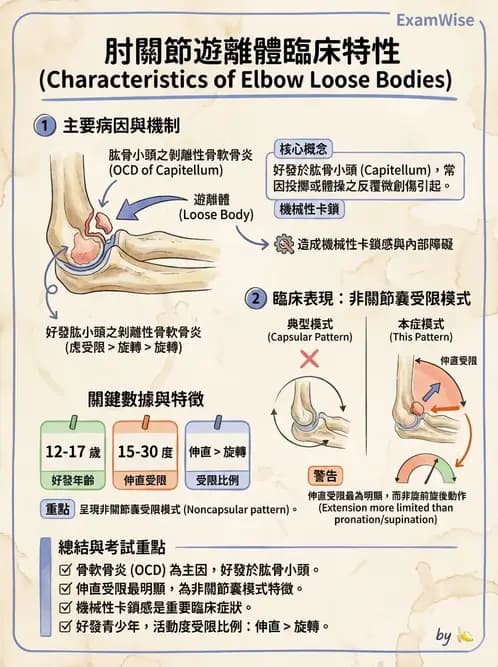 物治 - 肘及前臂關節 - AI 圖文解析預覽