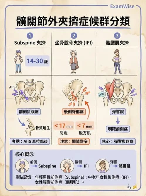物治 - 髖關節病變與手術復健 - AI 圖文解析預覽