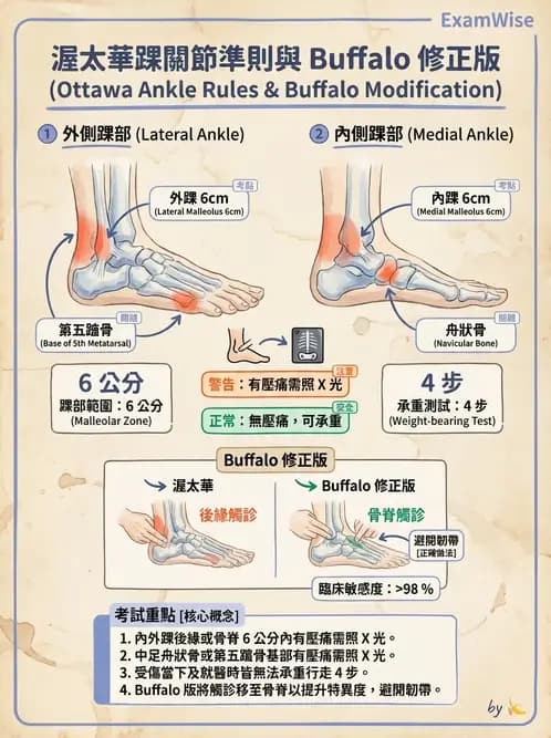 物治 - 踝關節損傷與復健 - AI 圖文解析預覽