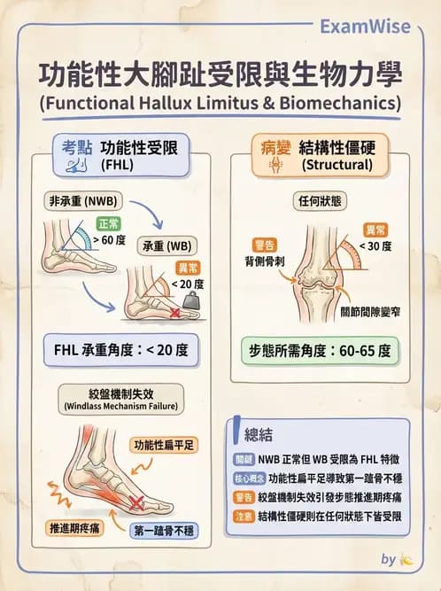 物治 - 足部病變與輔具評估 - AI 圖文解析預覽