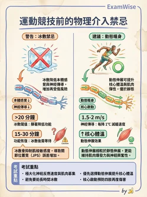 物治 - 競技與運動防護 - AI 圖文解析預覽