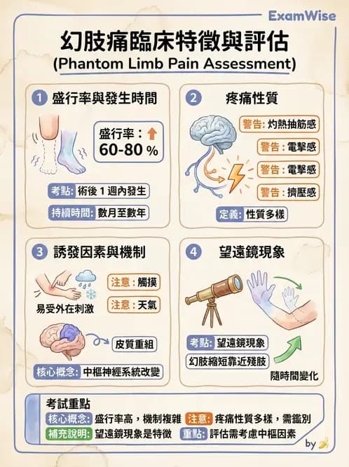 物治 - 截肢 - AI 圖文解析預覽