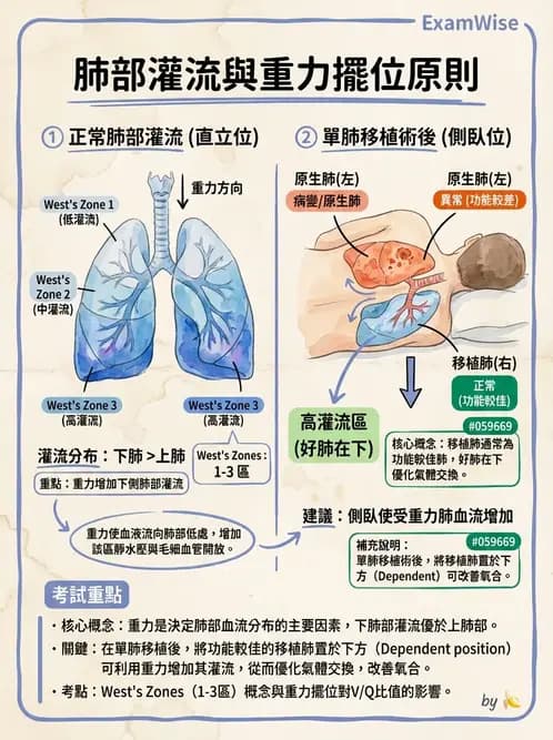 物治 - 胸腔手術、肺移植與呼吸器 - AI 圖文解析預覽