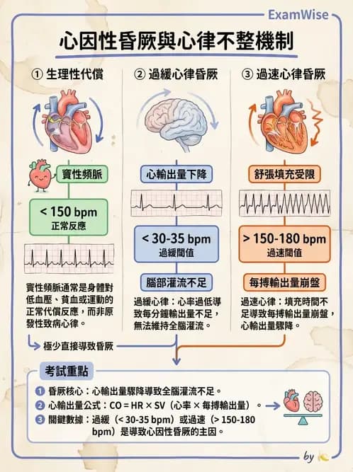 物治 - 心電圖判讀 - AI 圖文解析預覽