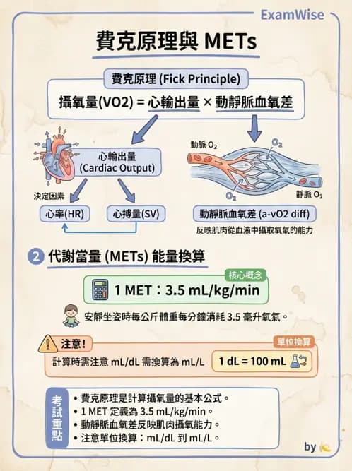 物治 - 運動生理學與能量代謝 - AI 圖文解析預覽