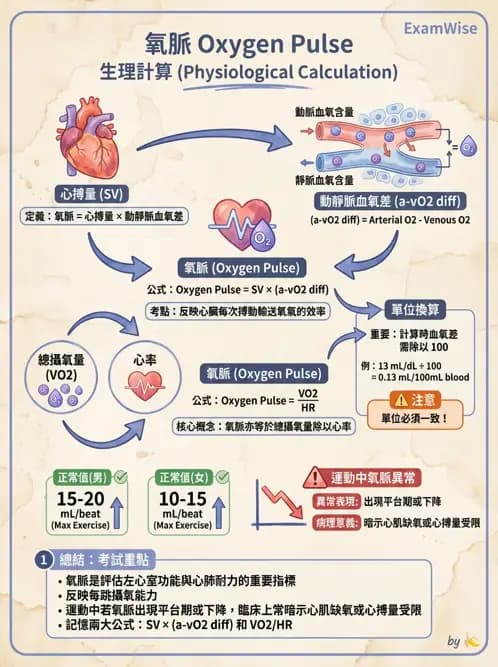 物治 - 運動生理學與能量代謝 - AI 圖文解析預覽