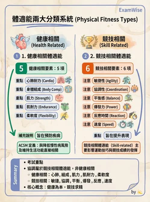 物治 - 體適能評估與運動測試 - AI 圖文解析預覽