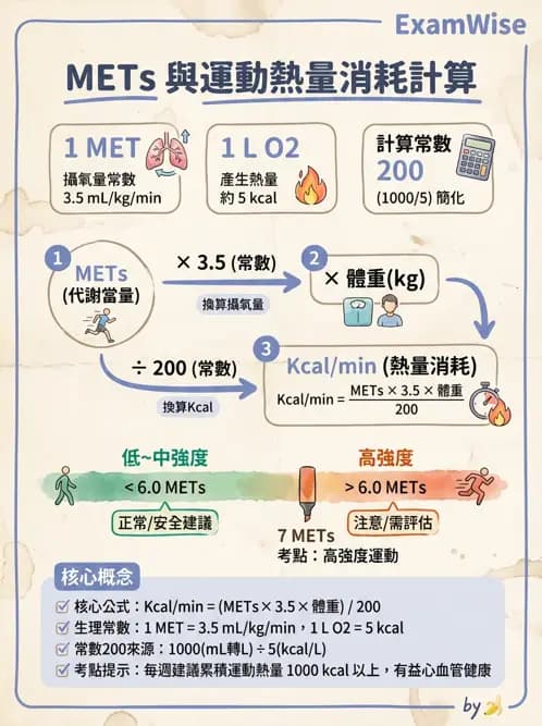 物治 - 運動生理學與能量代謝 - AI 圖文解析預覽