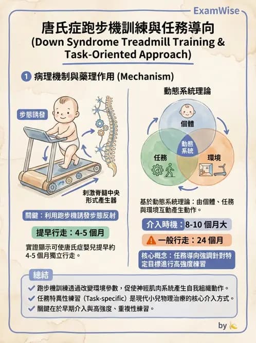 物治 - 小兒物理治療基礎與原理 - AI 圖文解析預覽