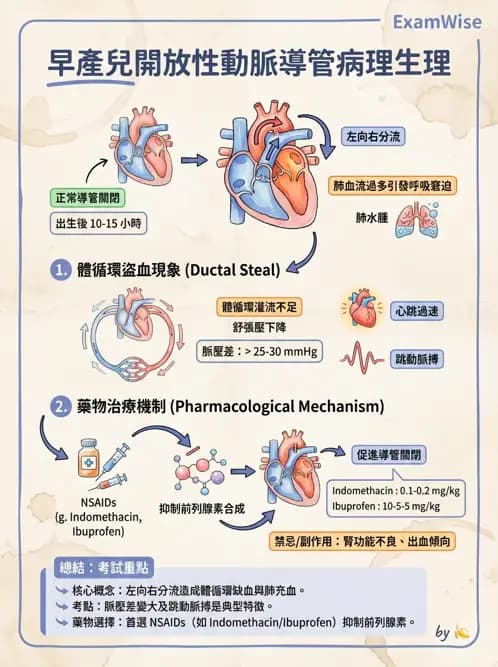 物治 - 小兒呼吸疾患與NICU物理治療 - AI 圖文解析預覽
