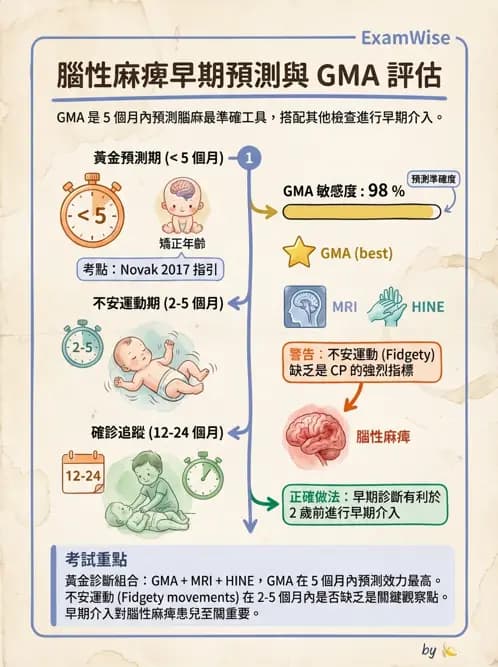 物治 - 新生兒與嬰兒發展評估 - AI 圖文解析預覽