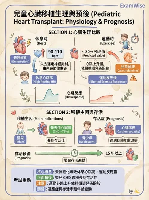 物治 - 小兒心臟、癌症與外傷物理治療 - AI 圖文解析預覽