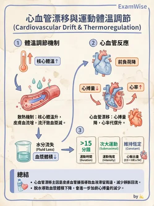 物治 - 運動與環境心肺生理 - AI 圖文解析預覽
