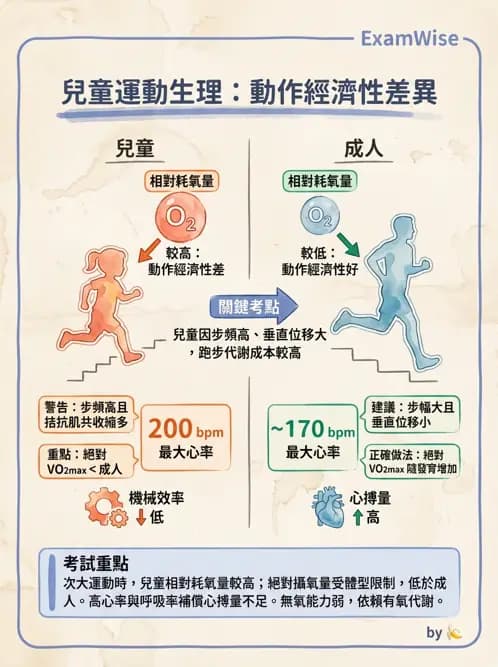 物治 - 運動與環境心肺生理 - AI 圖文解析預覽