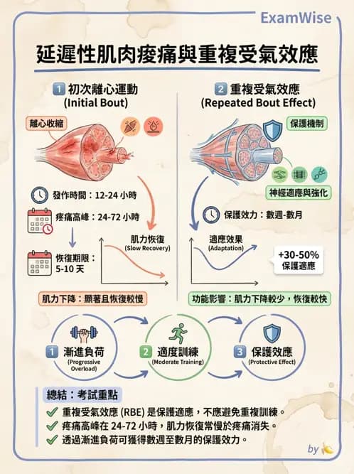 物治 - 肌肉力學與感覺運動控制 - AI 圖文解析預覽