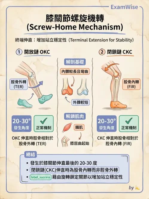 物治 - 膝關節肌動學與生物力學 - AI 圖文解析預覽