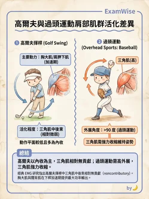 物治 - 競技運動與肌力訓練動作分析 - AI 圖文解析預覽