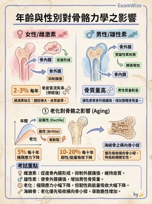 物治 - 組織生物力學 - AI 圖文解析預覽