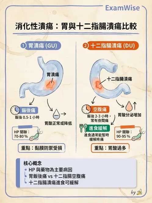 物治 - 內科疾病概論 - AI 圖文解析預覽