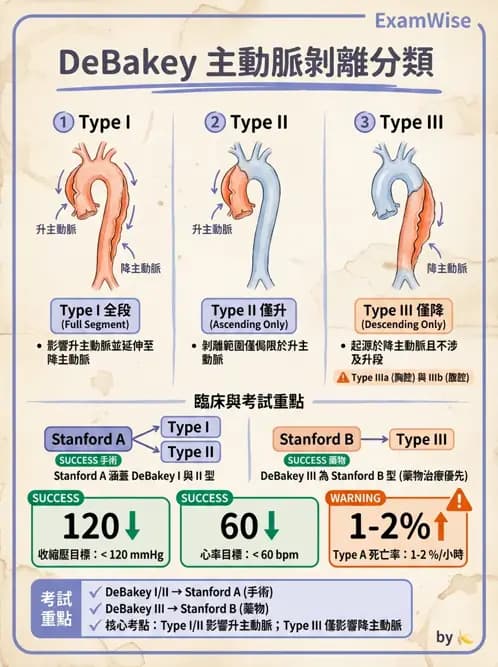 物治 - 心肺系統疾病 - AI 圖文解析預覽