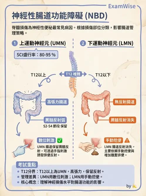 物治 - 脊髓與周邊神經疾病 - AI 圖文解析預覽